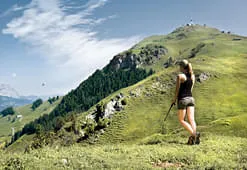 Nordic-Walking Nordic-Walking